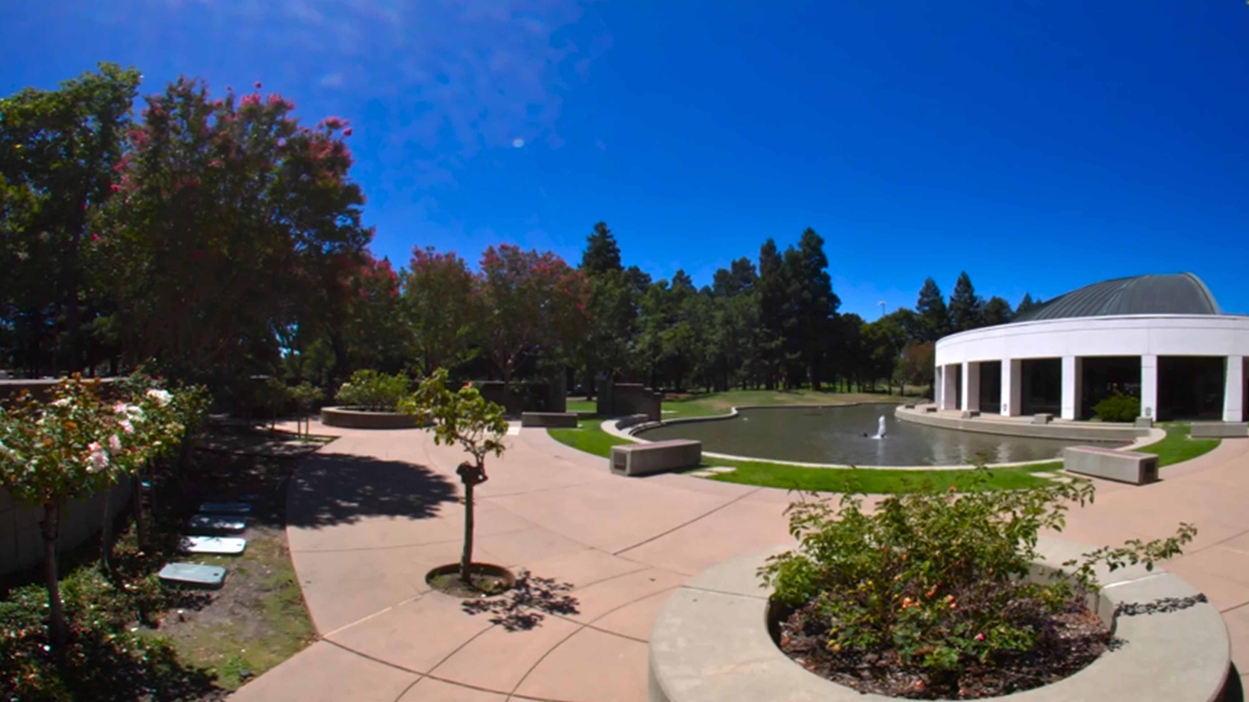 San Ramon Central Park, water fountain, beautiful shrubbery and a modern building